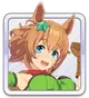 タイキシャトル