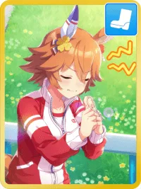 [お守りパワーで福徳円満！] マチカネフクキタル